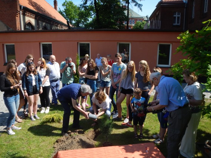 Foto: AVG-Lehrer Dr. Wolfram Eggeling und Schulleiterin Oliwia Piotrowicz legen die „Zeitkapsel“ mit Dokumenten zum Austausch in das Pflanzloch, bevor die Schülerinnen und Schüler darüber eine Kiefer pflanzten