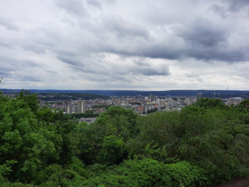 liege liege