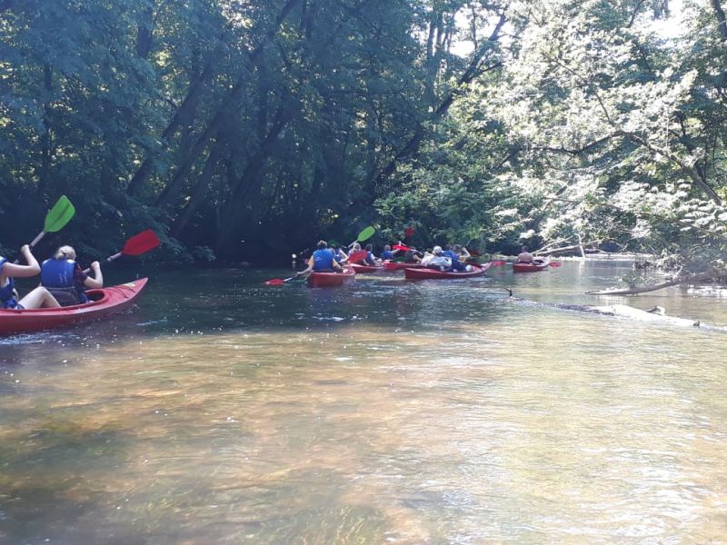 image1 image1