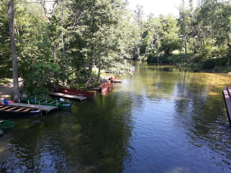 image5 image5