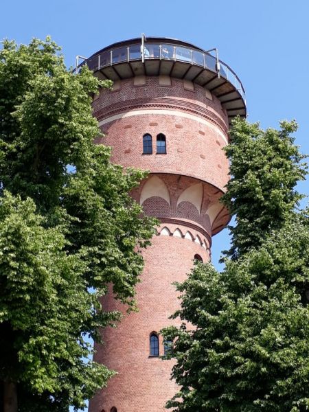 image6 image6