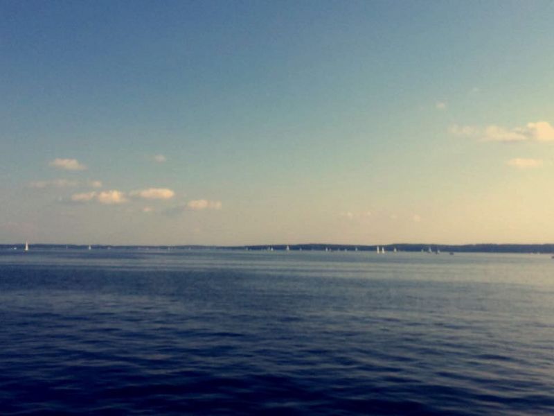 image8 image8